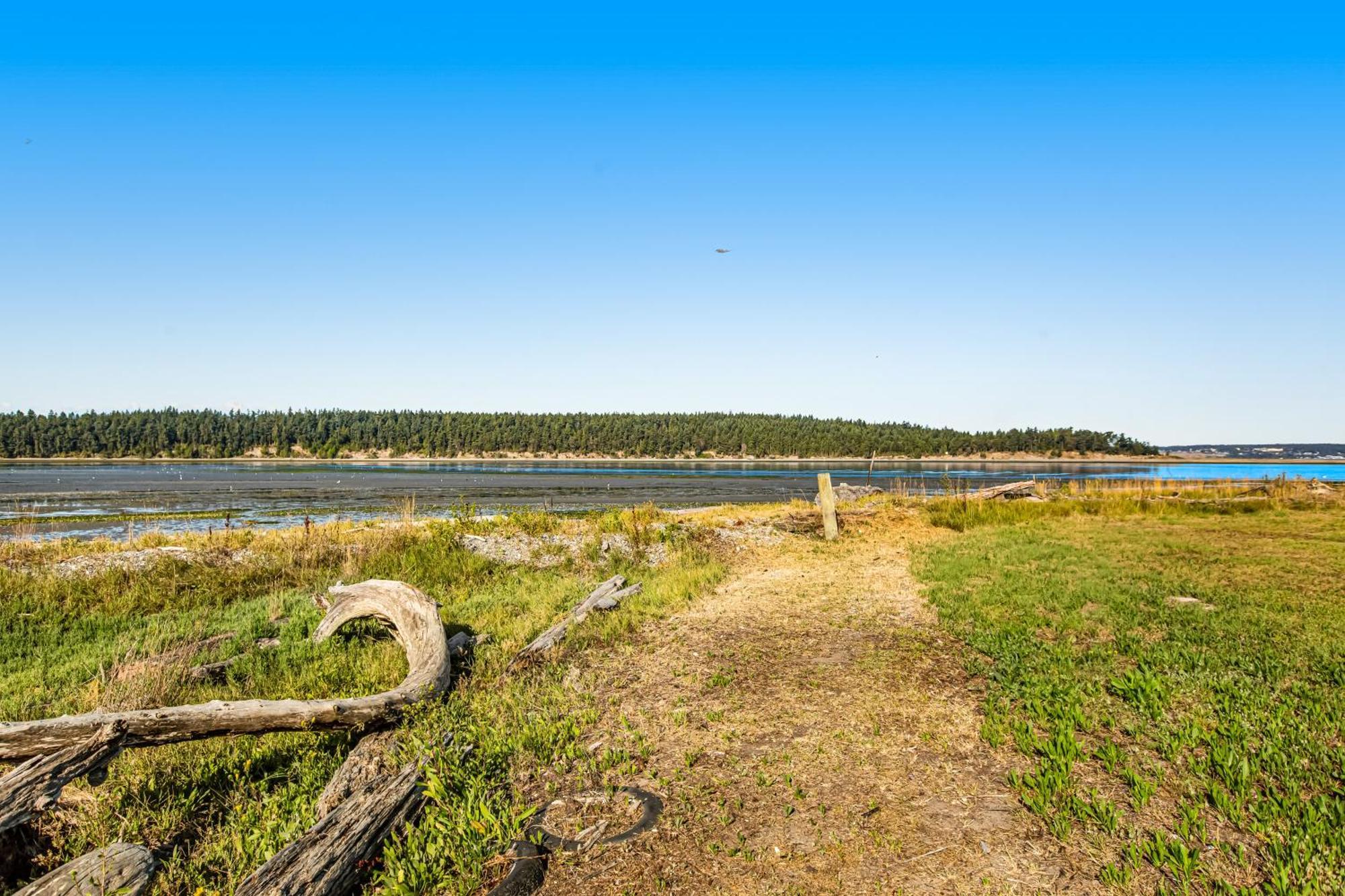 Marrowstone Island Beach Cabin Экстерьер фото